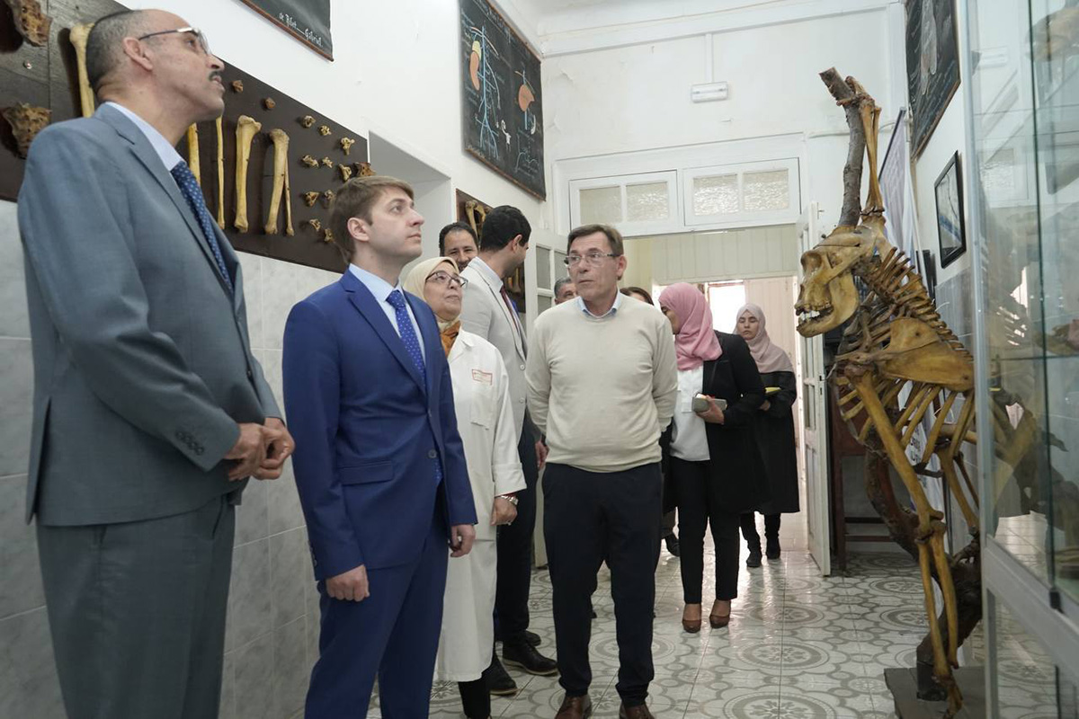 skfu-i-universitety-alzhira-zapustyat-sovmestnye-nauchnye-i-obrazovatelnye-proekty-ncfu-ru-01 (3).jpg
