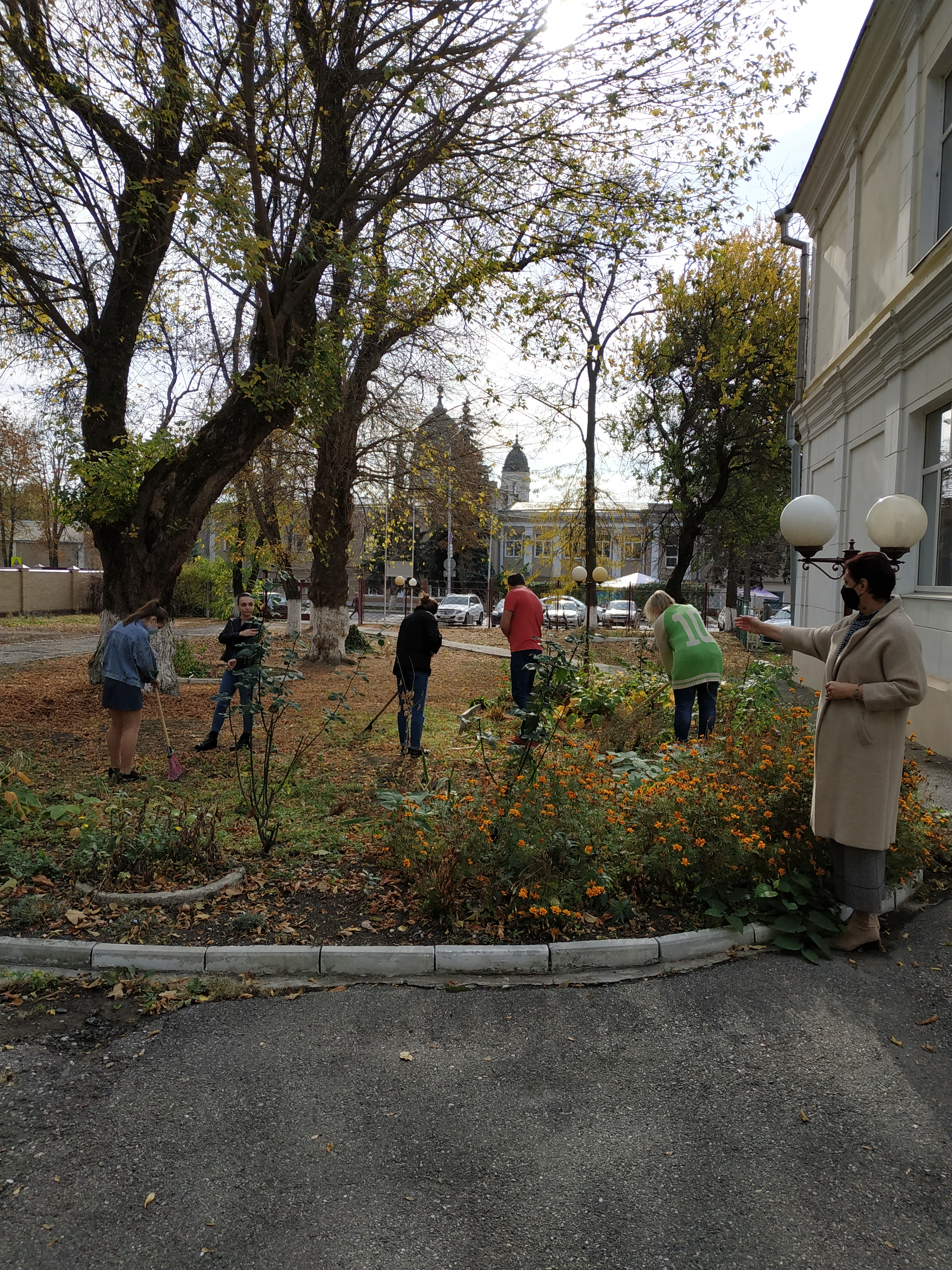 IMG_20201105_112251