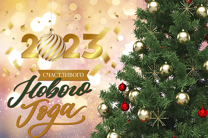 Поздравление директора Пятигорского института СКФУ Татьяны Шебзуховой с Новым годом 